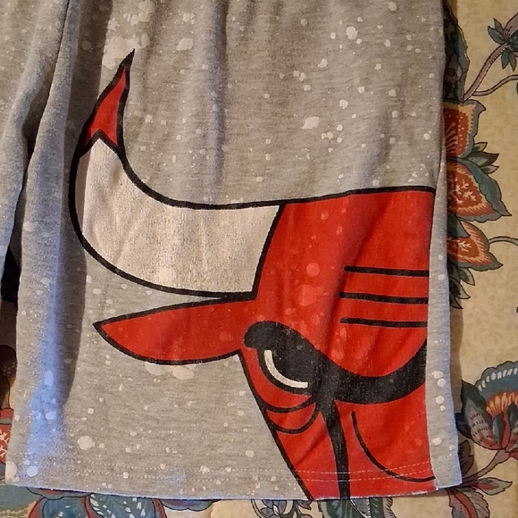 NBA Gray and Red Athletic Shorts with Bulls Design - Picture 4 of 7